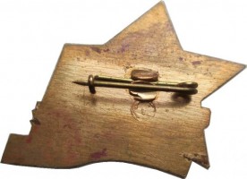 Нагрудный знак День Победы 1941-1945 