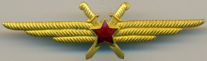 Нагрудный знак Летчик без класса 