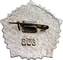Badge  