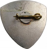 Нагрудный знак 50 Лет Донбассэнерго. 1930-1980 