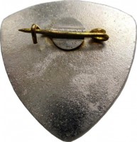 Нагрудный знак 50 Лет Донбассэнерго. 1930-1980 