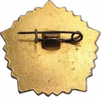 Badge  
