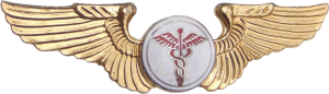 Badge Flight surgeon 