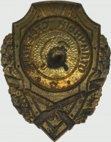 Нагрудный знак Отличный стрелок 