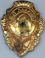 Нагрудный знак Отличник ПВО 