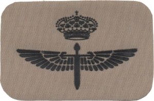 Badge Pilot 