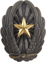 Badge Pilot 