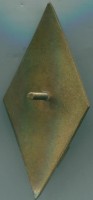 Нагрудный знак ЛМУ 