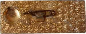 Badge  