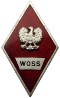 Нагрудный знак Высшая офицерская автомобильная школа 