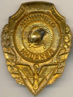 Badge Excellence in aviation 