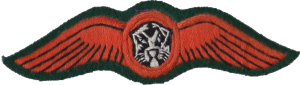 Нагрудный знак Пилот 