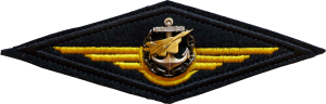 Нагрудный знак Летчик 