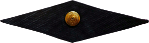 Нагрудный знак Летчик 