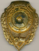 Нагрудный знак Отличный повар 