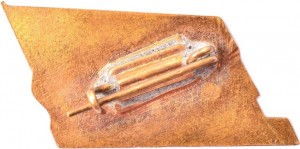Badge  