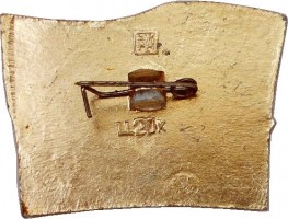 Нагрудный знак Чукотский  Автономный   Округ.  Анадырь 50 Лет 