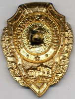 Badge  