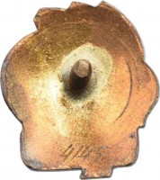 Badge  