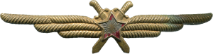 Badge Pilot 