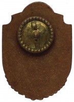 Нагрудный знак Парашютист 3 класса 