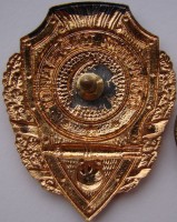 Нагрудный знак Отличный торпедист 