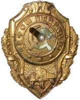 Нагрудный знак Отличный шофер 