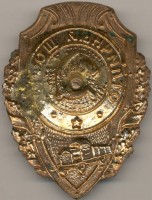 Badge Excellent driver 