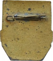 Нагрудный знак Дружинник 