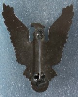 Badge Pilot 1st class 