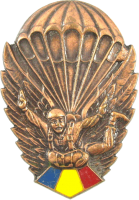 Нагрудный знак Парашютист, бронзовый 