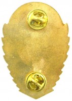 Нагрудный знак Парашютист, золотой 