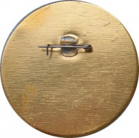 Нагрудный знак Теплоход 