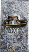 Нагрудный знак Восток-5 Восток-6 