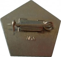 Нагрудный знак Прага 1960 Космос 