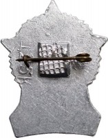 Нагрудный знак 30 Лет Победы, 9 Мая 1975 