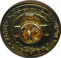 Нагрудный знак Лучшая Медицинская Сестра. 442 Овкг Ленво  