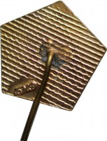 Нагрудный знак  Демитров, Ленин 