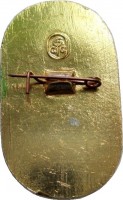 Нагрудный знак Лучший Юный Санпостовец, 1 Степени 