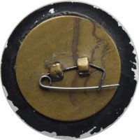Нагрудный знак Авиация Космос. 1968 Год 