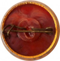 Нагрудный знак Летчик- Космонавт 