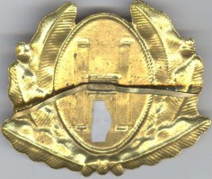 Нагрудный знак Офицерская кокарда ВВС 