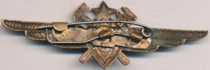 Badge Technician 3rd class 