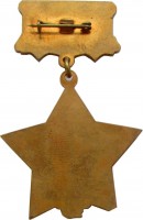 Нагрудный знак Освободителю Донбасса 1943 - 1993 - 50 Лет 