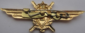 Badge Pilot 2nd class 