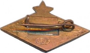 Нагрудный знак Политехник  