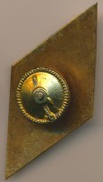 Нагрудный знак ЛВИМУ 