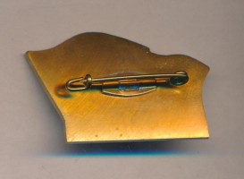 Нагрудный знак ЭМ 