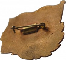 Badge  