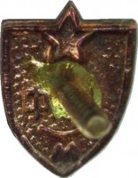 Нагрудный знак Спорклуб Института Физкультуры, Москва 